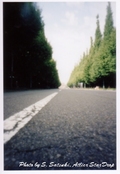 20050923pinhole2.jpg